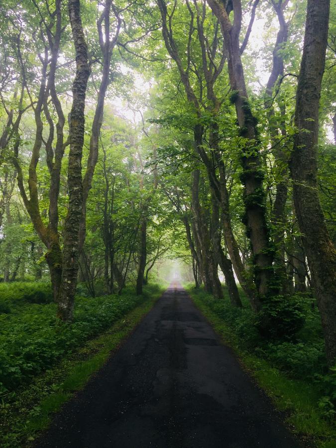 Forse Of Nature Latheron Bagian luar foto